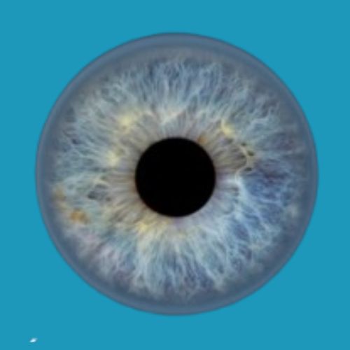 Dr. Jesus Lozano Gutierrez Oftalmólogo